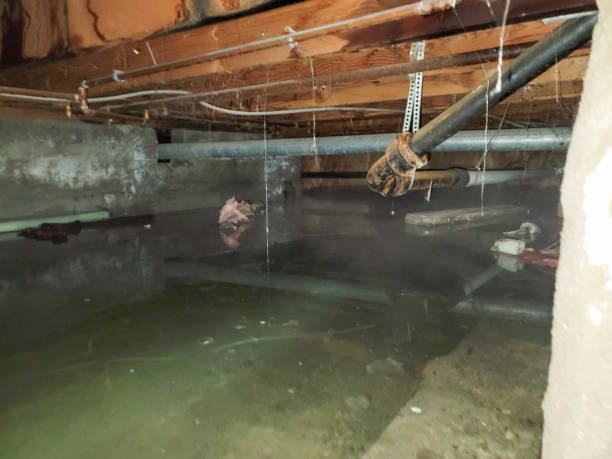 Best Water damage restoration cost  in Soh Weber, UT