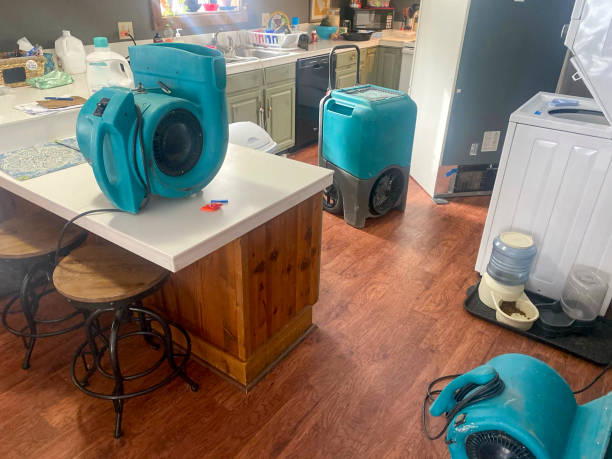 Best Residential water damage restoration  in Soh Weber, UT