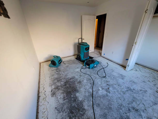 Best Flood damage cleanup  in Soh Weber, UT