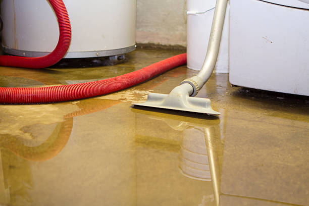 Best Water damage restoration specialists  in Soh Weber, UT