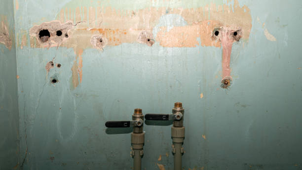 Water damage restoration mold remediation in UT