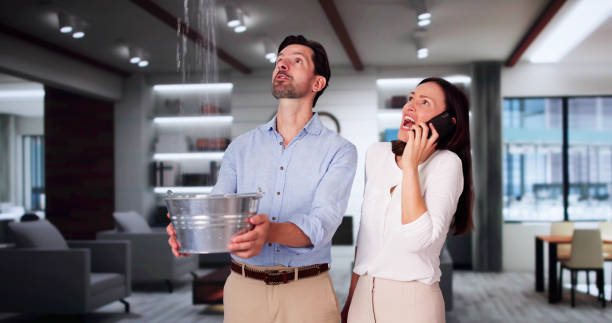 Best Water damage restoration experts  in Soh Weber, UT